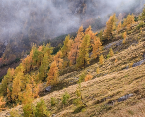 Montañas de Bucegi Rumania